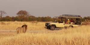 Game Drives